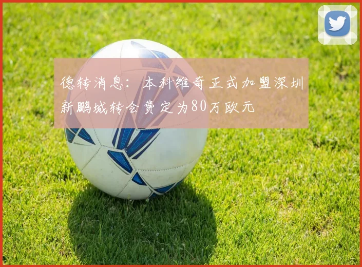 德转消息：本科维奇正式加盟深圳新鹏城转会费定为80万欧元