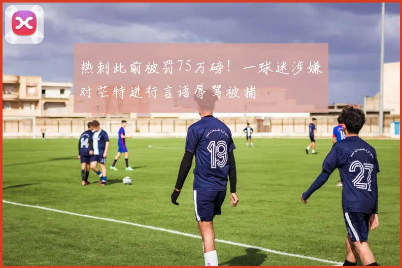 热刺此前被罚75万磅！一球迷涉嫌对芒特进行言语辱骂被捕
