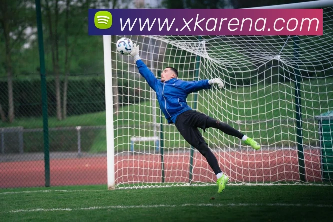 星空体育APP 封面图